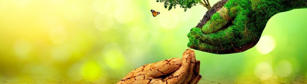 cultivem amb les mans i amb el cor.